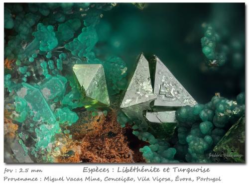 Libethenite and Turquoise<br />Miguel Vacas Mine, Pardais and Conceição Parish, Vila Viçosa, Évora District, Alentejo Central Province, Alentejo Region, Portugal<br />fov 2.5 mm<br /> (Author: ploum)