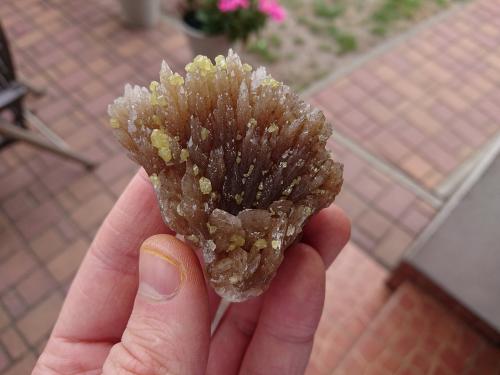 Baryte with Sulphur<br /><br />7 x 5 cm<br /> (Author: sauer11)