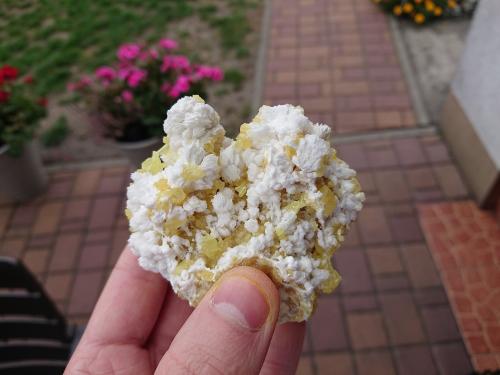 Baryte with Sulphur<br />Machów Mine, Tarnobrzeg, Subcarpathian Voivodeship, Poland<br />7.5 x 6.5 cm<br /> (Author: sauer11)