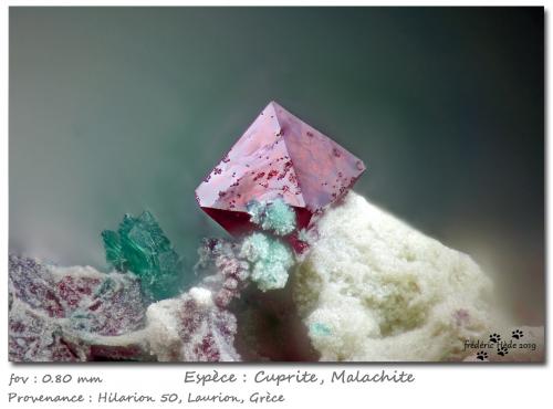 Cuprite with Malachite<br />Hilarion Mine, Hilarion area, Kamariza Mines, Agios Konstantinos, Lavrion Mining District, Attikí (Attica) Prefecture, Greece<br />fov 0.8 mm<br /> (Author: ploum)