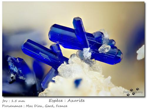 Azurite<br />Mas Dieu, Mercoirol, Alès, Gard, Occitanie, France<br />fov 1.5 mm<br /> (Author: ploum)