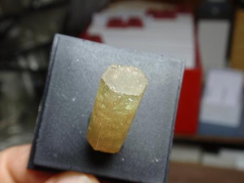 Fluorapatito (Grupo Apatito)<br />Minas da Panasqueira, Aldeia de São Francisco de Assis, Covilhã, Castelo Branco, Cova da Beira, Centro, Portugal<br />10x25 mm<br /> (Autor: Ignacio)