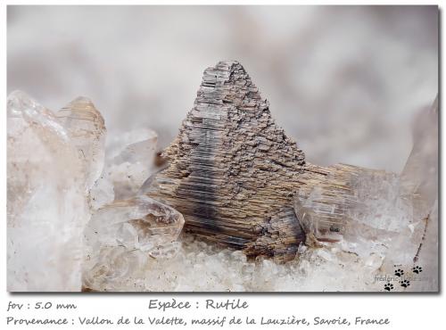 Rutile<br />Vallon de la Valette, La Lauzière Massif, Saint-Jean-de-Maurienne, Savoie, Auvergne-Rhône-Alpes, France<br />fov 5.0 mm<br /> (Author: ploum)