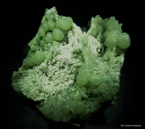 Talco (variedad esteatita)<br />Pietranera, Rovegno, Provincia Génova, Liguria, Italia<br />55x50 mm.<br /> (Autor: Jesus Franquesa Baucells)