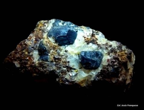 Sapphirina.<br />Ambatomika, Tranomaro, Distrito Amboasary, Región Anosy, Madagascar<br />70x50 mm.<br /> (Autor: Jesus Franquesa Baucells)
