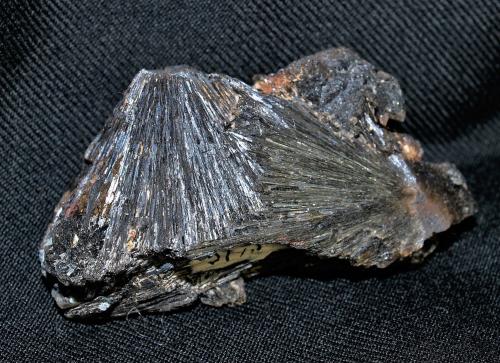 Hübnerite<br />Silverton, Animas District, San Juan County, Colorado, USA<br />7x3.5x2.5 cm<br /> (Author: Joseph DOliveira)