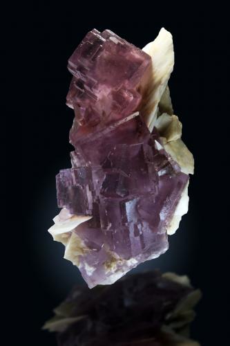 Fluorita, Barita<br />Cantera de Los Cobayos (La Paredona), zona minera de Berbes, Los Cobayos, Berbes, Ribadesella, Comarca Oriente, Principado de Asturias (Asturias), España<br />13 x 6cm, cristales hasta 3.5cm de arista<br /> (Autor: Raul Vancouver)