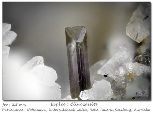 Clinozoisite<br />Notklamm, Untersulzbach Valley, Hohe Tauern, Salzburg, Austria<br />fov 2.5 mm<br /> (Author: ploum)