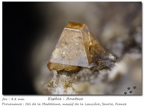 Anatase<br />Col de la Madeleine, Macizo La Lauzière, Saint-Jean-de-Maurienne, Saboya, Auvergne-Rhône-Alpes, Francia<br />fov 4.8 mm<br /> (Author: ploum)