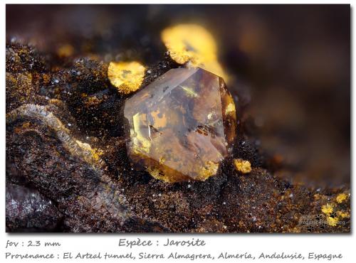 Jarosite<br />Socavón Santa Bárbara (El Arteal Tunnel), Almagrera Range, Cuevas del Almanzora, Comarca Levante Almeriense, Almería, Andalusia, Spain<br />fov 2.3 mm<br /> (Author: ploum)