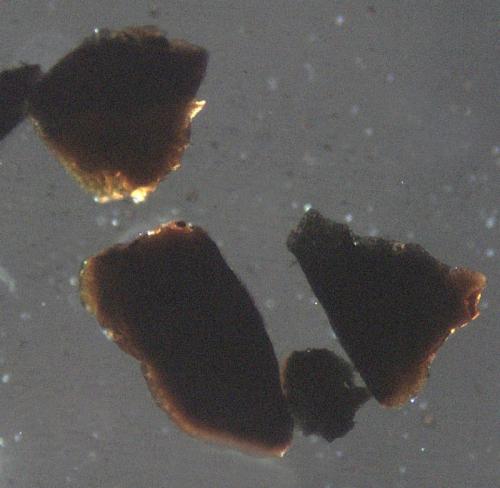 Fragments viewed immersed in index oil at 100x with a petrographic scope, polarizers not crossed (Author: Pete Richards)