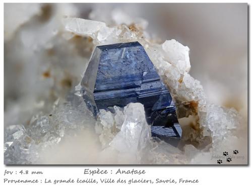 Anatase<br />Ville des Glaciers, Savoie, Auvergne-Rhône-Alpes, France<br />fov 4.8 mm<br /> (Author: ploum)