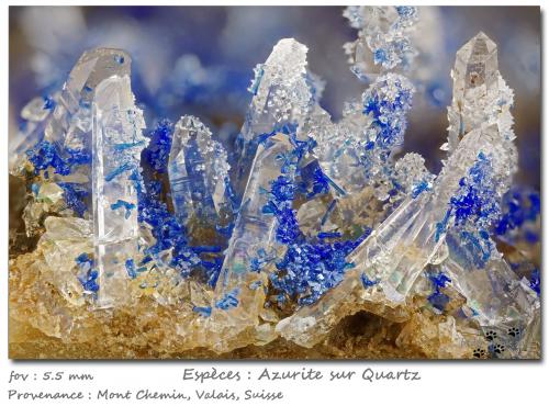 Azurite on Quartz<br />Mont Chemin, Martigny, Wallis (Valais), Switzerland<br />fov 5.5 mm<br /> (Author: ploum)