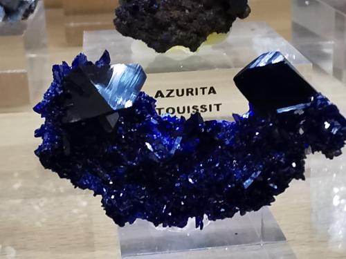 Azurite<br />Kerrouchen, Khénifra Province, Beni Mellal-Khenifra Region, Morocco<br />3x2cm<br /> (Author: Enrique Llorens)