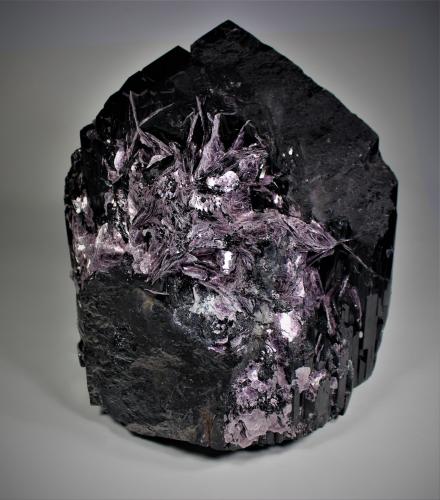 Schorl (Tourmaline Group), Muscovite<br />Ofiki, Oyo State, Nigeria<br />29 cm x 25 cm x 22.5 cm<br /> (Author: Don Lum)