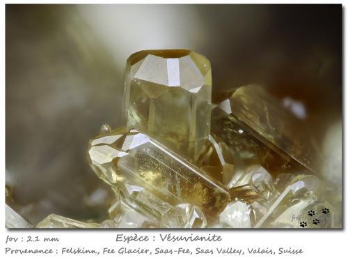 Vesuvianite<br />Felskinn, Glaciar Fee, Saas Fee, Valle Saas, Zermatt - Saas Fee, Wallis (Valais), Suiza<br />fov 2.1 mm<br /> (Author: ploum)