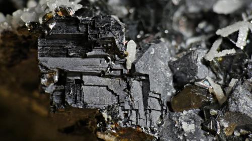 Galena<br />Depósito Batantsi, Mina Batantsi, Zona minera Madan, Montes Rhodope, Smolyan Oblast, Bulgaria<br />1 cm<br /> (Autor: DPC)