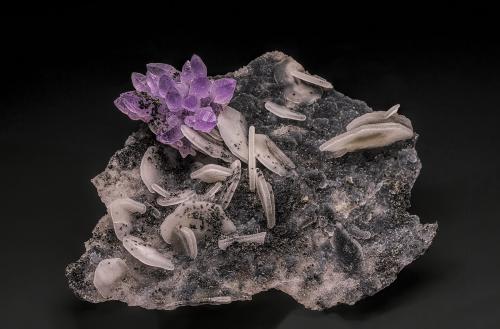 Quartz (variety amethyst), Quartz and Calcite<br />Madhya Pradesh, India<br />9.6 x 7.8 cm<br /> (Author: am mizunaka)