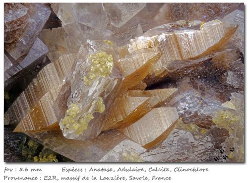 Anatase with Orthoclase (variety adularia), Calcite and Clinochlore<br />Col de la Madeleine, La Lauzière Massif, Saint-Jean-de-Maurienne, Savoie, Auvergne-Rhône-Alpes, France<br />fov 5.6 mm<br /> (Author: ploum)