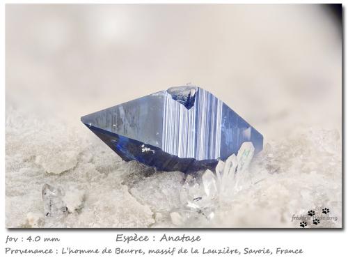 Anatase with Quartz<br />Col de la Madeleine, La Lauzière Massif, Saint-Jean-de-Maurienne, Savoie, Auvergne-Rhône-Alpes, France<br />fov 4.0 mm<br /> (Author: ploum)