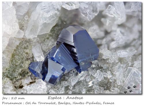 Anatase<br />Col du Tourmalet, Barèges, Departamento Hautes-Pyrénées, Occitanie, Francia<br />fov 5.0 mm<br /> (Author: ploum)