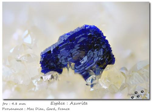 Azurite<br />Mas Dieu, Mercoirol, Alès, Gard, Occitanie, France<br />fov 4.8 mm<br /> (Author: ploum)