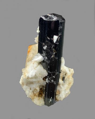 Schorlo (Grupo Turmalina), Albita, Feldespato<br />Shengus (Shingus), Distrito Roundu, Gilgit-Baltistan (Áreas del Norte), Paquistán<br />3,9 x 3,1 cm.<br /> (Autor: Xavier Bordas)