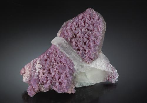 Lepidolite on Quartz<br />Barra de Salinas, Coronel Murta, Vale do Jequitinhonha, Minas Gerais, Brazil<br />6.8 x 9.2 cm<br /> (Author: crosstimber)