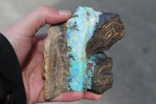 Opal<br />Quilpie, Condado Quilpie, Queensland, Australia<br />3.75 x 3.25 x 1.5 inches<br /> (Author: Chris Wentzell)