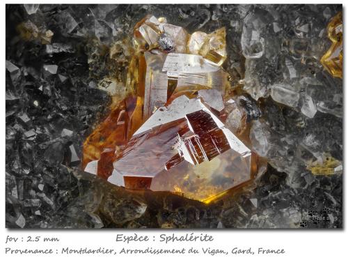 Sphalerite<br />Montdardier, Le Vigan, Gard Department, Occitanie, France<br />fov 2.5 mm<br /> (Author: ploum)