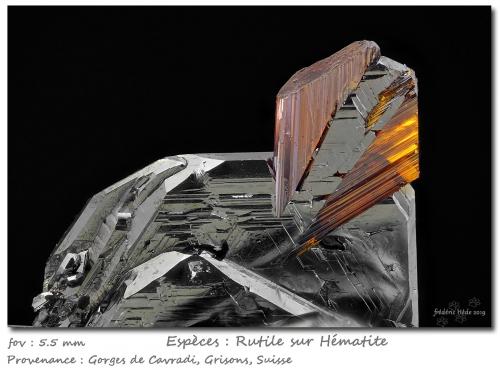 Rutile on Hematite<br />Cavradi, Curnera Valley, Tujetsch (Tavetsch), Vorderrhein Valley, Grischun (Grisons; Graubünden), Switzerland<br />fov  5.5 mm<br /> (Author: ploum)