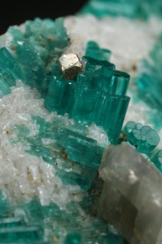 Beryl (variety emerald), Pyrite, Calcite, Albite (variety cleavelandite)<br />Chivor Mining District, Camoyo Mine, Municipio Chivor, Eastern Emerald Belt, Boyacá Department, Colombia<br />70x62x11mm, xls up to 8mm long<br /> (Author: Fiebre Verde)