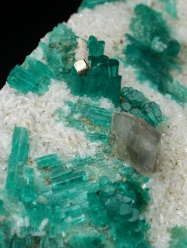 Beryl (variety emerald), Pyrite, Calcite, Albite (variety cleavelandite)<br />Chivor Mining District, Camoyo Mine, Municipio Chivor, Eastern Emerald Belt, Boyacá Department, Colombia<br />70x62x11mm, xls up to 8mm long<br /> (Author: Fiebre Verde)