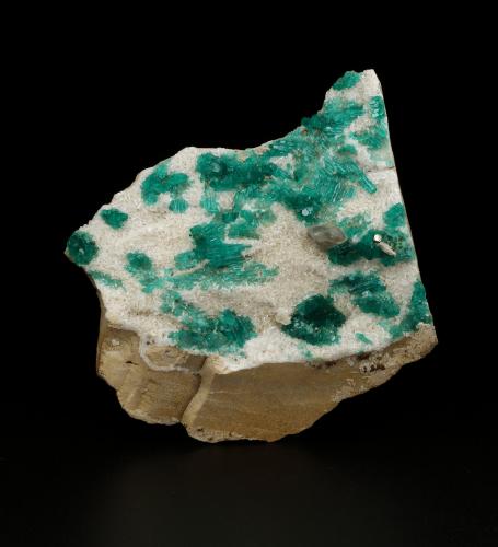 Beryl (variety emerald), Pyrite, Calcite, Albite (variety cleavelandite)<br />Chivor Mining District, Camoyo Mine, Municipio Chivor, Eastern Emerald Belt, Boyacá Department, Colombia<br />70x62x11mm, xls up to 8mm long<br /> (Author: Fiebre Verde)