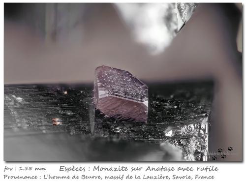 Monazite on Anatase and with Rutile<br />L'Homme de Beurre, La Lauzière Massif, Saint-Jean-de-Maurienne, Savoie, Auvergne-Rhône-Alpes, France<br />fov 1.6 mm<br /> (Author: ploum)