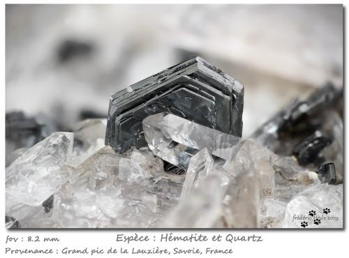 Hematite and Quartz<br />Grand Pic de la Lauzière, La Lauzière Massif, Saint-Jean-de-Maurienne, Savoie, Auvergne-Rhône-Alpes, France<br />fov 8.2 mm<br /> (Author: ploum)