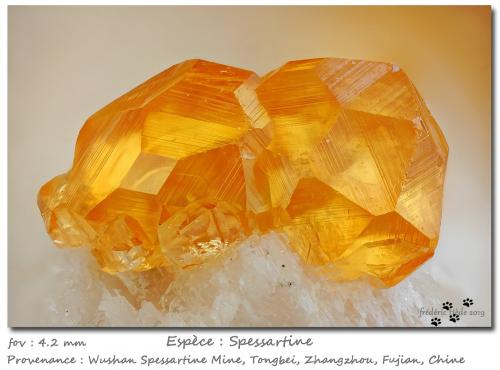 Spessartine<br />Catas Spessartina Wushan, Tongbei, Yunxiao, Prefectura Zhangzhou, Provincia Fujian, China<br />fov 4.2 mm<br /> (Author: ploum)