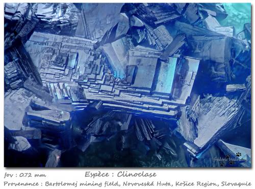 Clinoclase<br />Bartolomej mining field, Novoveská Huta, Spiská Nová Ves, Spiská Nová Ves District, Koice Region, Slovak Republic<br />fov 0.72 mm<br /> (Author: ploum)