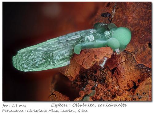 Olivenite and Conichalcite<br />Christiana Mine, Kamariza Mines, Agios Konstantinos, Lavrion Mining District, Attikí (Attica) Prefecture, Greece<br />fov 1.8 mm<br /> (Author: ploum)