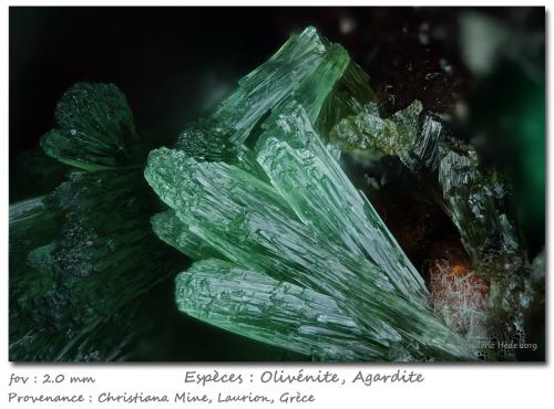 Olivenite and Agardite<br />Mina Christiana, Minas Kamariza, Agios Konstantinos, Distrito minero Lavrion, Prefectura Attikí (Attica), Grecia<br />fov 2.0 mm<br /> (Author: ploum)