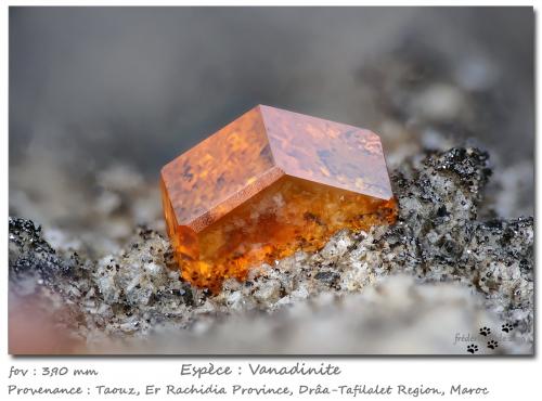 Vanadinite<br />Taouz, Provincia Er Rachidia, Región Drâa-Tafilalet, Marruecos<br />fov 3.9 mm<br /> (Author: ploum)