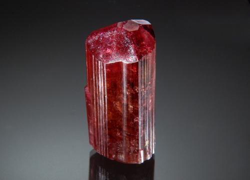 Elbaite<br />Malkhan (Malchan), Krasnyi Chikoy, Zabaykalsky Krai, Russia<br />1.8 x 4.4 cm<br /> (Author: crosstimber)