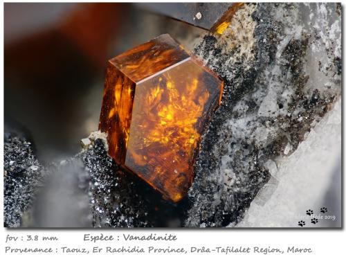 Vanadinite<br />Taouz, Er Rachidia Province, Drâa-Tafilalet Region, Morocco<br />fov 3.8 mm<br /> (Author: ploum)