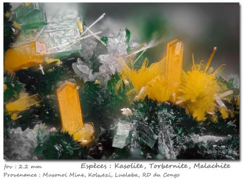 Kasolite<br />Musonoi Mine, Kolwezi, Kolwezi District, Lualaba, Katanga Copper Crescent, Katanga (Shaba), Democratic Republic of the Congo (Zaire)<br />fov 2.2 mm<br /> (Author: ploum)