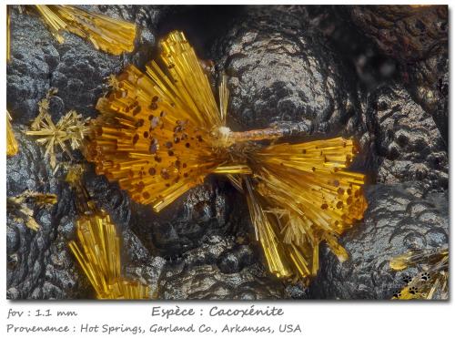 Cacoxenite<br />Hot Springs, Garland County, Arkansas, USA<br />fov 1.1 mm<br /> (Author: ploum)