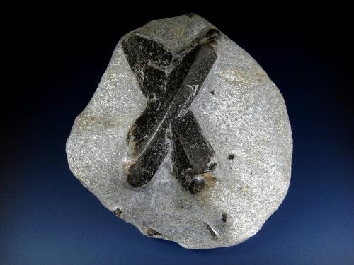 Estaurolita<br />Península Kola, Murmanskaja Oblast, Región del Norte, Rusia<br />10 x 10 cm.<br /> (Autor: Antonio P. López)