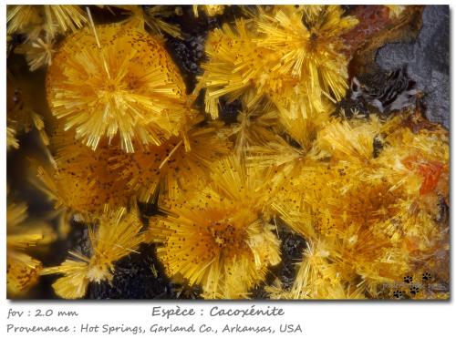 Cacoxenite<br />Hot Springs, Garland County, Arkansas, USA<br />fov 2.0 mm<br /> (Author: ploum)