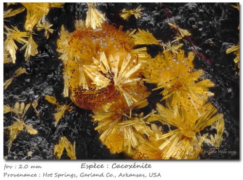 Cacoxenite<br />Hot Springs, Garland County, Arkansas, USA<br />fov 2.0 mm<br /> (Author: ploum)