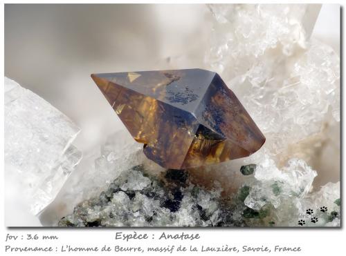 Anatase<br />L'Homme de Beurre, La Lauzière Massif, Saint-Jean-de-Maurienne, Savoie, Auvergne-Rhône-Alpes, France<br />fov 3.6 mm<br /> (Author: ploum)