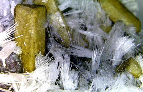 Bultfonteinita y Poldervaartita<br />Mina N'Chwaning II, Zona minera N'Chwaning, Kuruman, Kalahari manganese field (KMF), Provincia Septentrional del Cabo, Sudáfrica<br />Campo de visión 10 mm.<br /> (Autor: Antonio P. López)